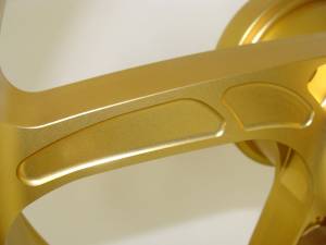 OZ Piega Rear Spoke Detail