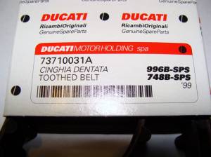 Ducati - DUCATI OEM Timing Belt: 748 / 916 / 996 / 888 / 851