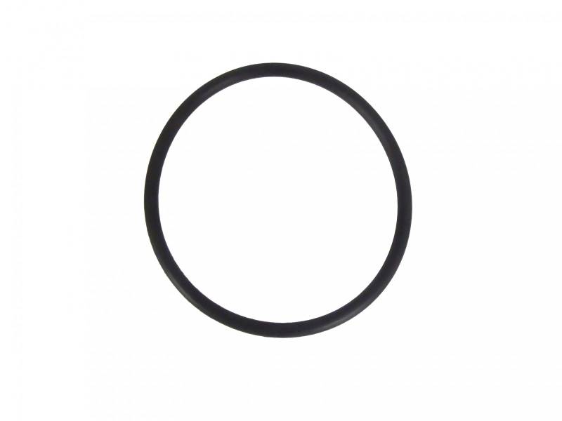 MOTOWHEELS Viton Fuel Pump Base ORing Ducati 8481198 / MTS1200