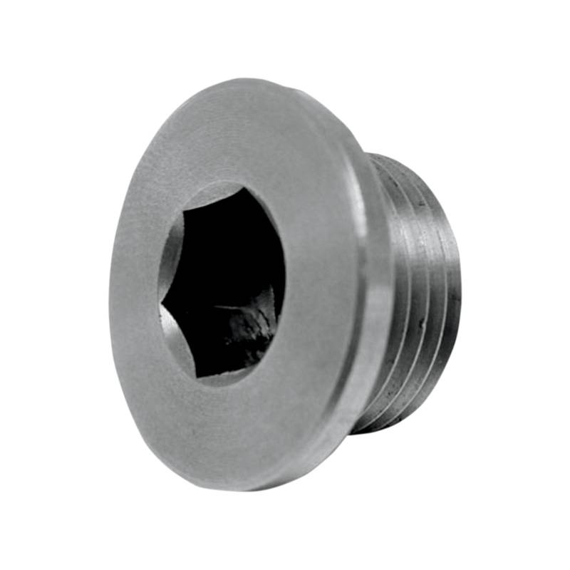 O2 Sensor Bung Plug
