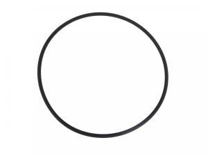 Motowheels - MOTOWHEELS Viton Fuel Pump Base O-Ring: Ducati Monster 620-695-696-796-S2R800-1000, MTS 620-1000-1100