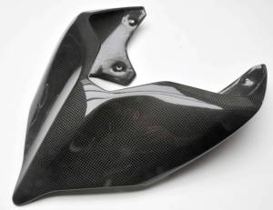 Shift-Tech - Shift-Tech Carbon Fiber Tail Section/Rear Fairing: Ducati Panigale V4/S/R - Image 1