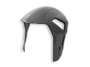 Ducabike - Ducabike - BMW S1000RR GLOSSY CARBON FRONT FENDER - Image 1