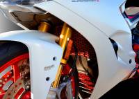 Ducabike - Ducabike Oil Cooler Guard: Ducati Supersport 17+ [Laser cut light alloy] - Image 2