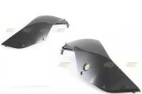Closeout  - Closeout Carbon - CDT - CDT CF Tail Right/Left: 1199/899 Panigale [Pair] Gloss Clear Coated