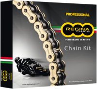 Regina Chain Kit [520 Pitch, 15T/45T]: Ducati Monster 696