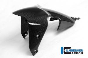 Ilmberger Carbon Fiber - Ilmberger Carbon Fiber Front Fender: Ducati Monster 1200/S/R, 821 - Image 4
