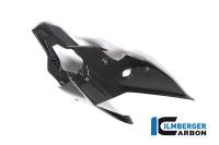 Ilmberger Carbon Fiber Undertail Cover: Ducati Panigale V4/S/R