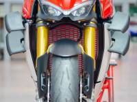 Ducabike - Ducabike Radiator Guard [Laser cut light alloy]:Ducati Streetfighter V4/V4S - Image 5