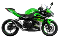 Exhaust - Slip-Ons - LeoVince - LeoVince Carbon Fiber Exhaust: Kawasaki Ninja 400/Z400 