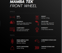 BST Wheels - BST Mamba Tek 7 Spoke Front Wheel: 748, 916, 996, 998 - Image 3