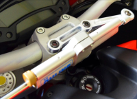 Ducabike - Ducabike Steering Damper Mount: Ducati M796/1000 EVO - Image 4