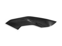 Ducabike - Ducabike - BMW S1000R SIDE PANELS POLISHED CARBON - Image 1