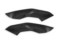 Ducabike - Ducabike - BMW S1000R SIDE PANELS POLISHED CARBON - Image 2