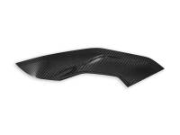 Ducabike - Ducabike - BMW S1000R SIDE PANELS POLISHED CARBON - Image 3
