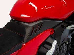 Ducabike - Ducabike - DIAVEL V4 MATT CARBON TANK SIDES - Image 1