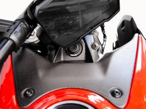 Ducabike - Ducabike - DIAVEL V4 MATT CARBON IGNITION COVER - Image 1