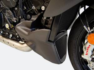 Ducabike - Ducabike - DIAVEL V4 FRONT TOE CAP MATT CARBON - Image 6