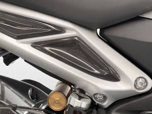 Ducabike - Ducabike - TRIUMPH STREET TRIPLE GLOSSY CARBON SIDE COVERS - Image 2