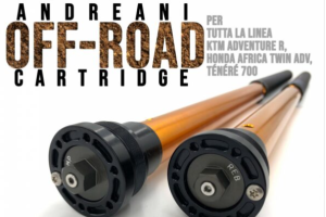 Andreani Group - Andreani Rally Race Adjustable Hydraulic Cartridges:  Ducati Desert X - 22+ - Image 4