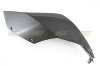 CDT - CDT CF Tail Left Side: 1199/899 Panigale - Image 2