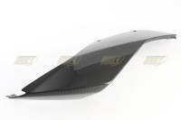 CDT - CDT CF Tail Left Side: 1199/899 Panigale - Image 3