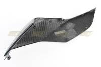 CDT - CDT CF Tail Left Side: 1199/899 Panigale - Image 4